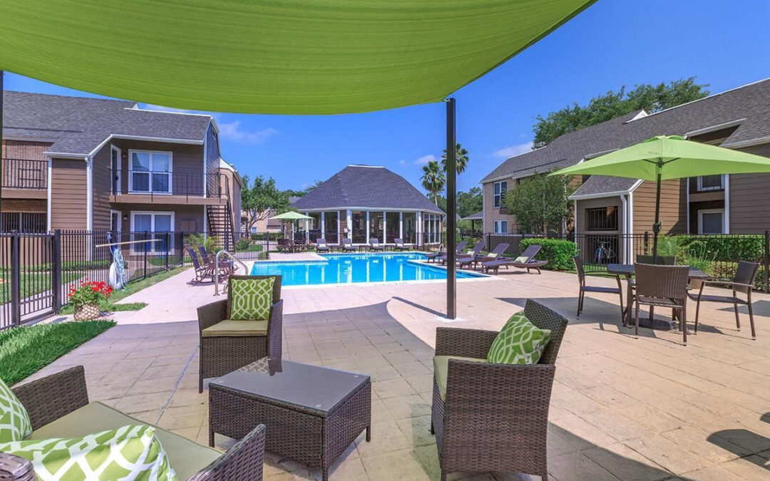 Mustang on the Trail